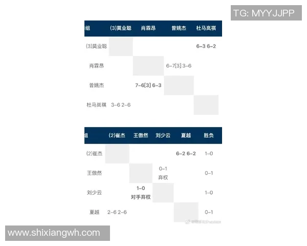 南京网球队在全国网球速度排行榜中荣获第六名展现出强劲实力与潜力