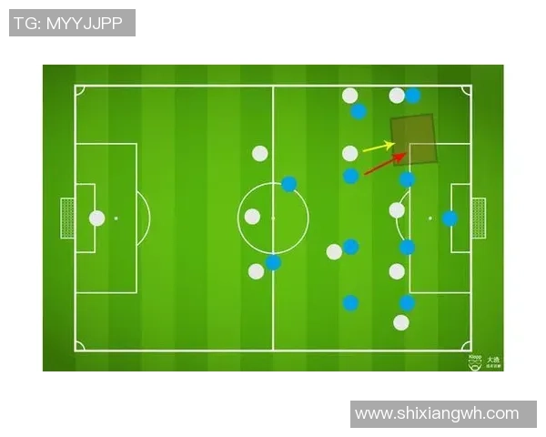 上海排球队区域防守策略解析与战术应用探讨 上海排球队区域防守策略解析与战术应用探讨